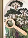 Wooden Magnifying Glass - bpa free- Eco wood- design conscious-Dove and Dovelet